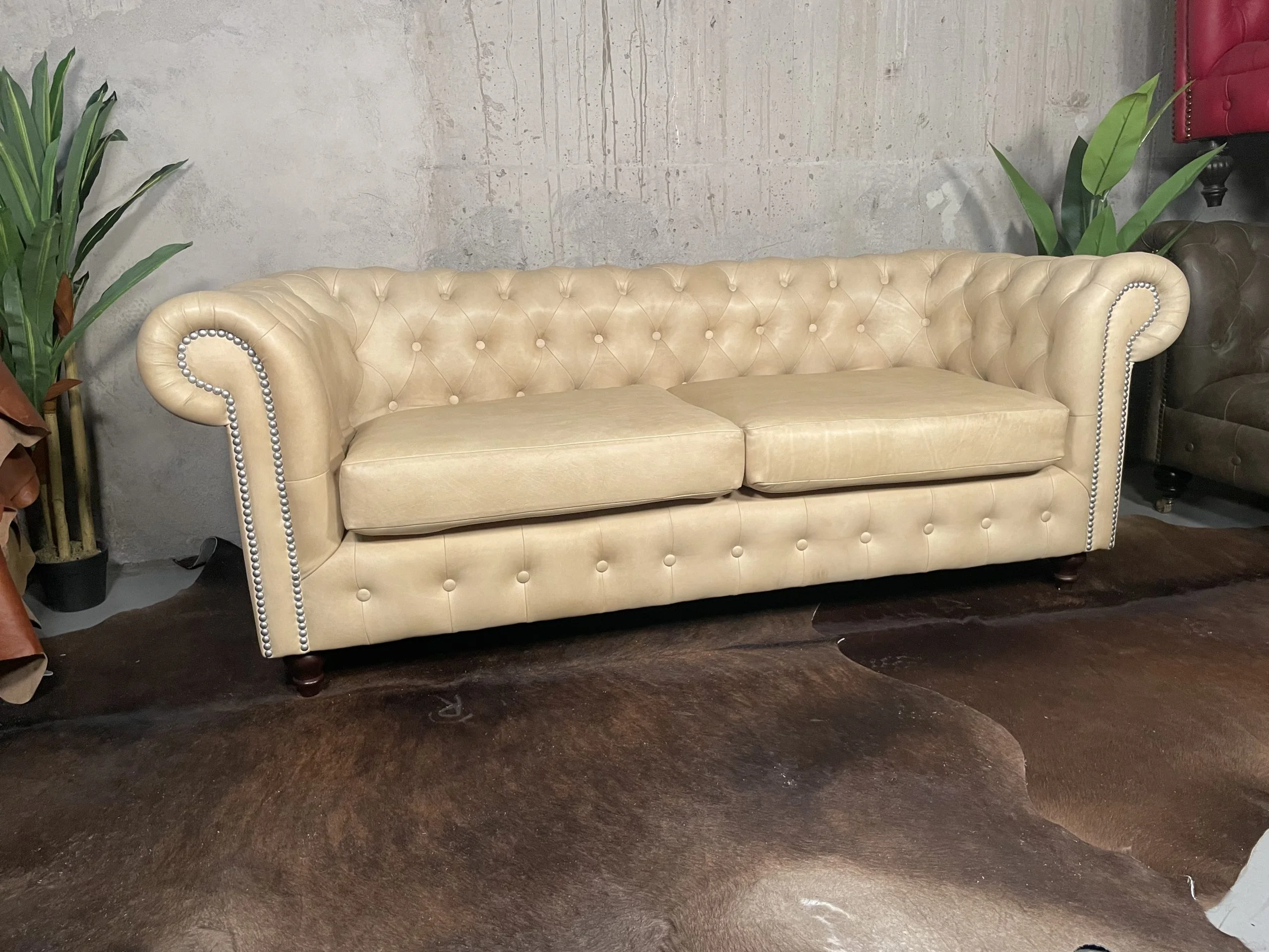 Sofá de Cuero – Sofá Chesterfield Color Fobeige, asiento liso, respaldo curvo inglés, Cuero 100% Natural Uruguayo – Ancho 205 – Oferta